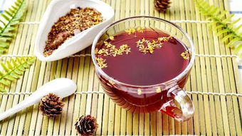 養(yǎng)生相伴，共品二十四節(jié)氣之美