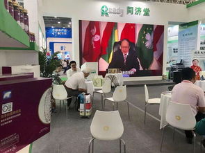 海參肽植物飲品包裝設計 傳遞現代養生美學與專業服務承諾